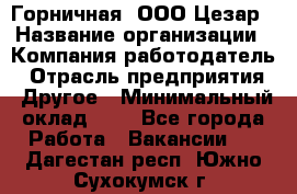 Горничная. ООО Цезар › Название организации ­ Компания-работодатель › Отрасль предприятия ­ Другое › Минимальный оклад ­ 1 - Все города Работа » Вакансии   . Дагестан респ.,Южно-Сухокумск г.